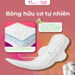 Băng vệ sinh dạng quần siêu mỏng cánh Merria Relax, kháng khuẩn, khử mùi, siêu thấm hút – gói 5 miếng, size M~L
